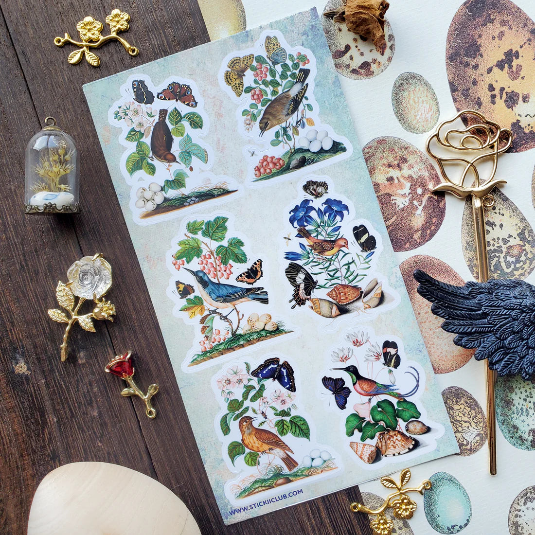 Bird & Butterfly Watching